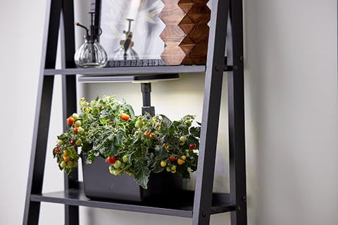 AeroGarden Harvest Lite suitable for dorms and office-friendly setups
