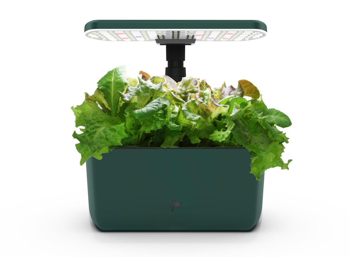 AeroGarden Harvest Lite green front view, compact and stylish for small spaces.