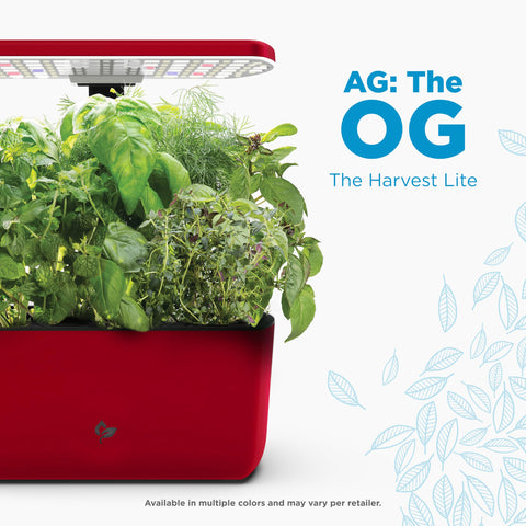 AeroGarden Harvest Lite on a kitchen counter setup for fresh herbs.