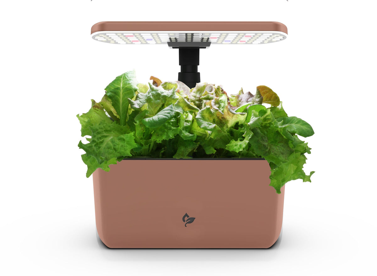AeroGarden Harvest Lite Mocha color on a kitchen counter enabling year-round fresh herbs