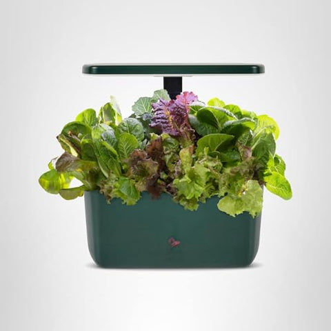 AeroGarden Harvest Lite uses plant food sold separately for nourishment.