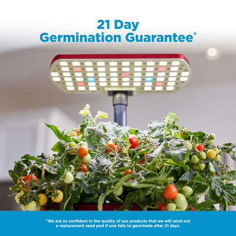 Seed pods and plant food sold separately for the AeroGarden Harvest Lite.