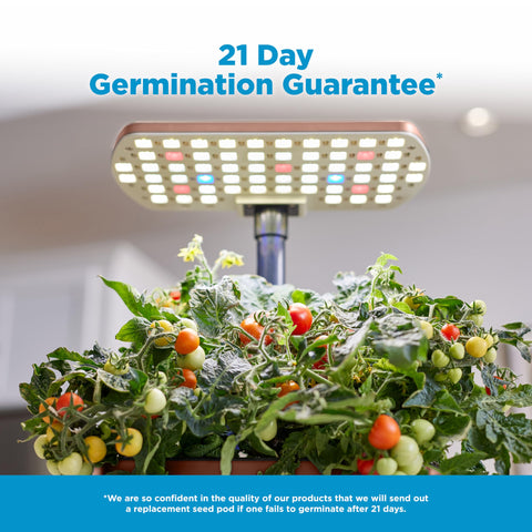 Seed pod kit options available separately for AeroGarden Harvest Lite