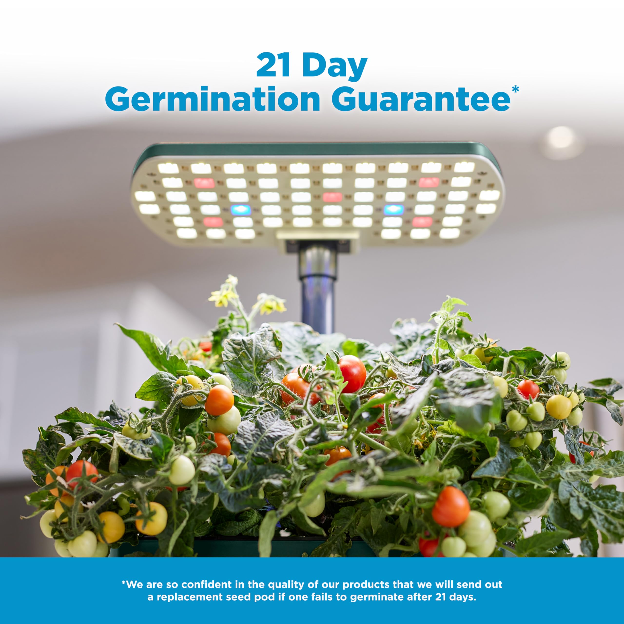 AeroGarden Harvest Lite supports up to six plants at a time.