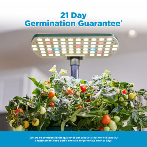 AeroGarden Harvest Lite supports up to six plants at a time.