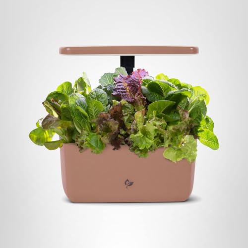 Year-round harvest potential with AeroGarden Harvest Lite in compact spaces