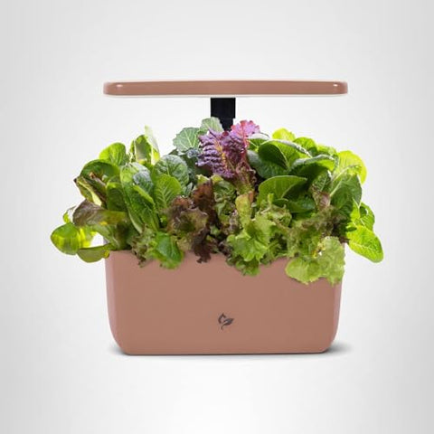 Year-round harvest potential with AeroGarden Harvest Lite in compact spaces