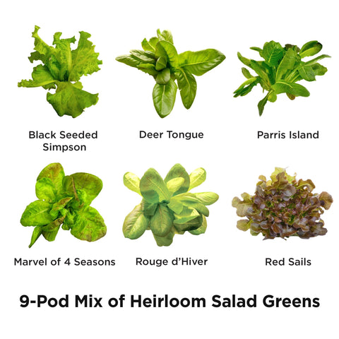 AeroGarden Heirloom seed pods in an indoor garden setup for year-round greens.