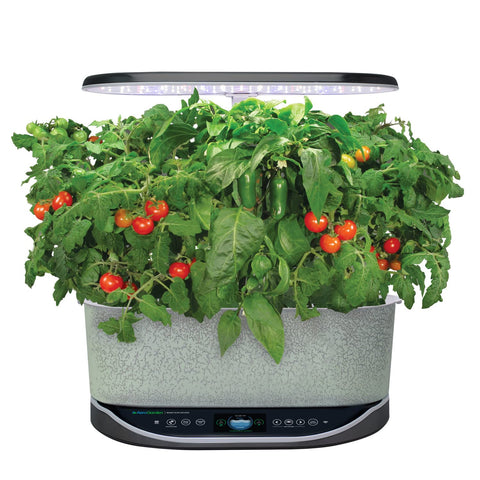 AERO Garden Jalapeño Pepper pods for homegrown spice in cooking.
