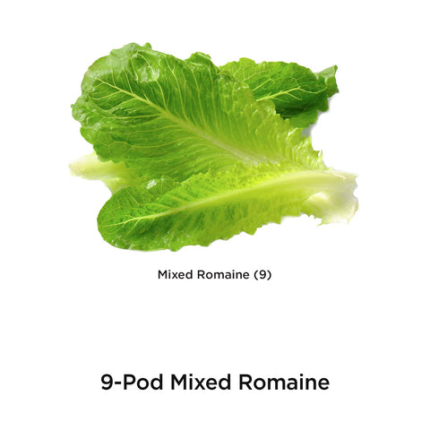 AeroGarden 3 oz liquid nutrients bottle included to nourish romaine seed pods.