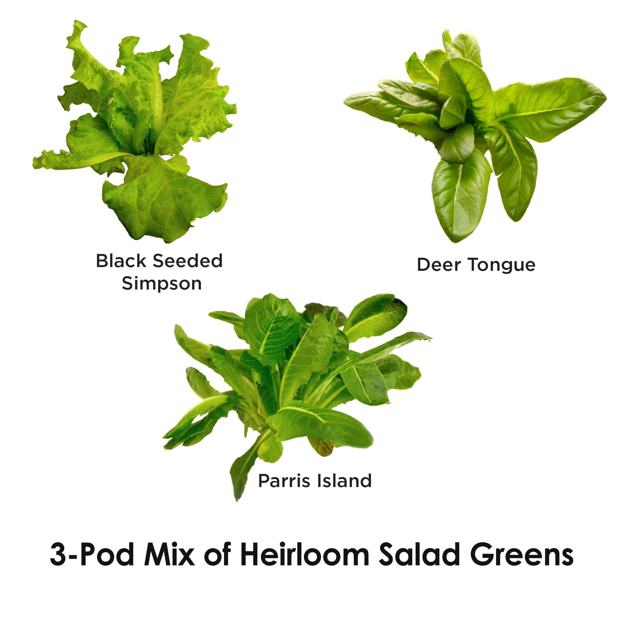 Liquid nutrients bottle included with AeroGarden Heirloom Salad Greens Mix kit