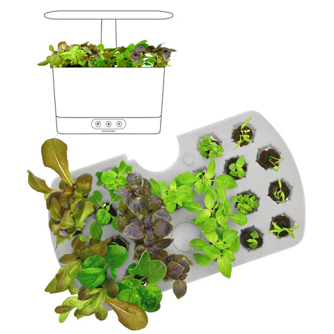 AeroGarden 3 oz liquid plant food supports healthy seedling growth through the season.