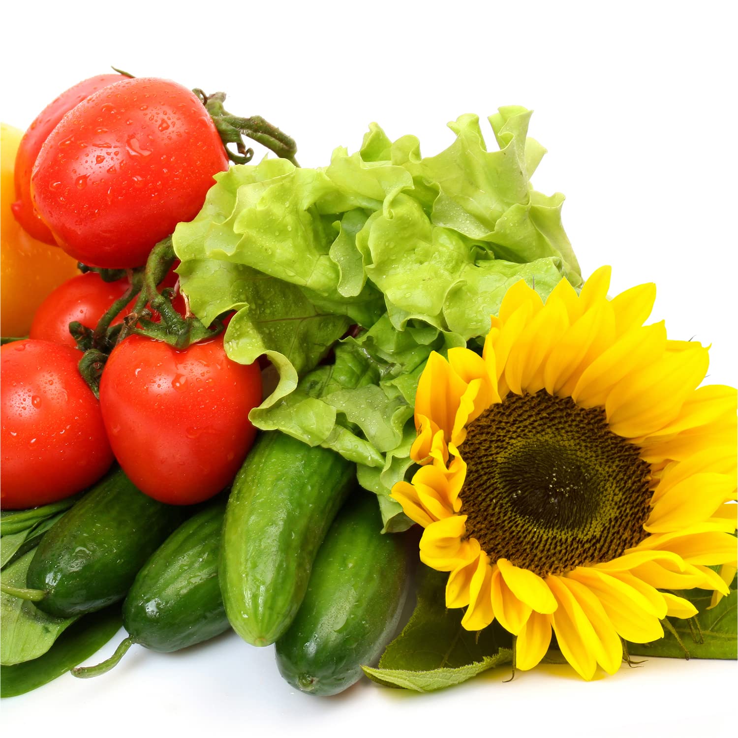 AeroGarden nutrient bottles provide balanced nourishment for thriving indoor plants.