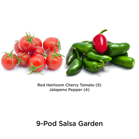 AERO Garden Red Heirloom Cherry Tomato pods ready for a bountiful harvest.