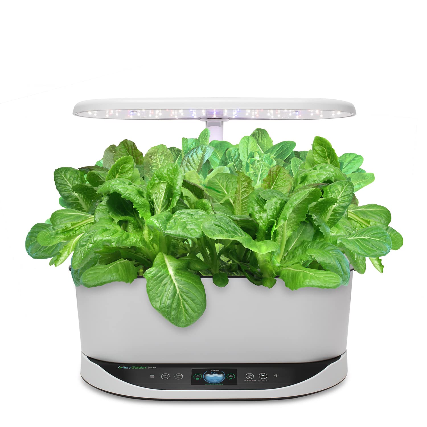 Romaine seed pods germinating within days inside an AeroGarden.