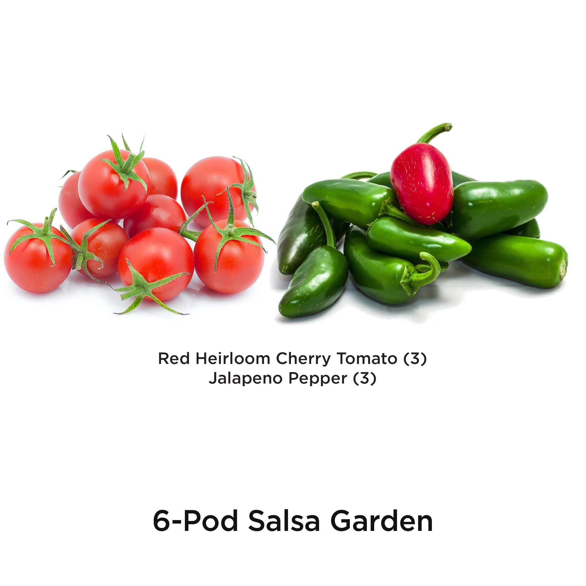 Red heirloom cherry tomato pods from AeroGarden ready to germinate