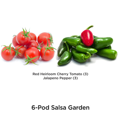 Red heirloom cherry tomato pods from AeroGarden ready to germinate