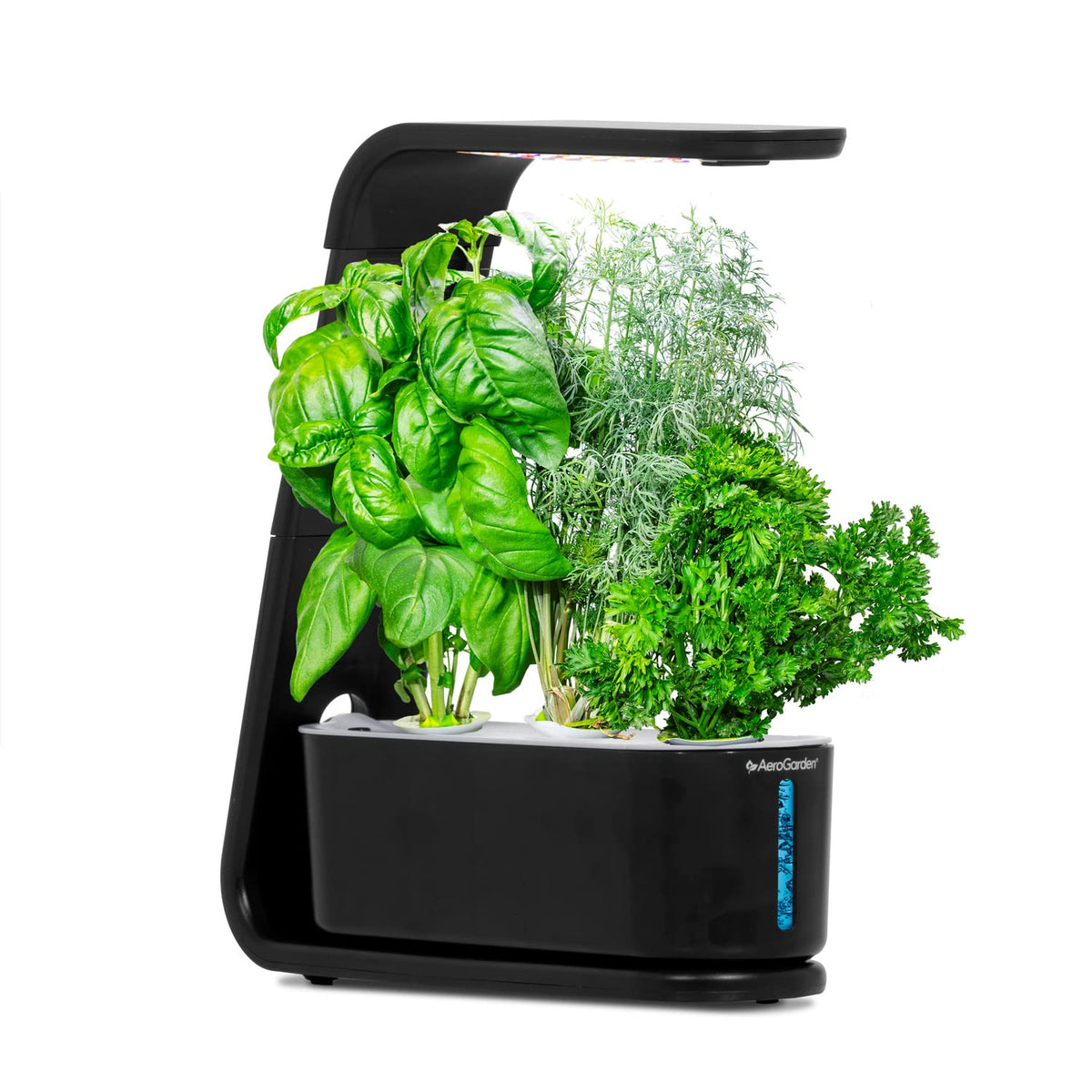 AeroGarden Sprout compact indoor garden on a kitchen counter for year-round herbs.