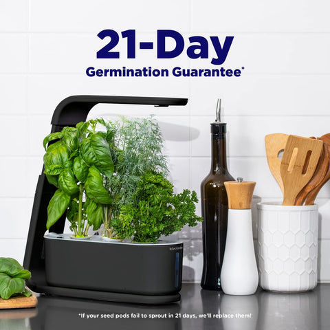 AeroGarden Sprout seed pod kit supports quick, easy starts.