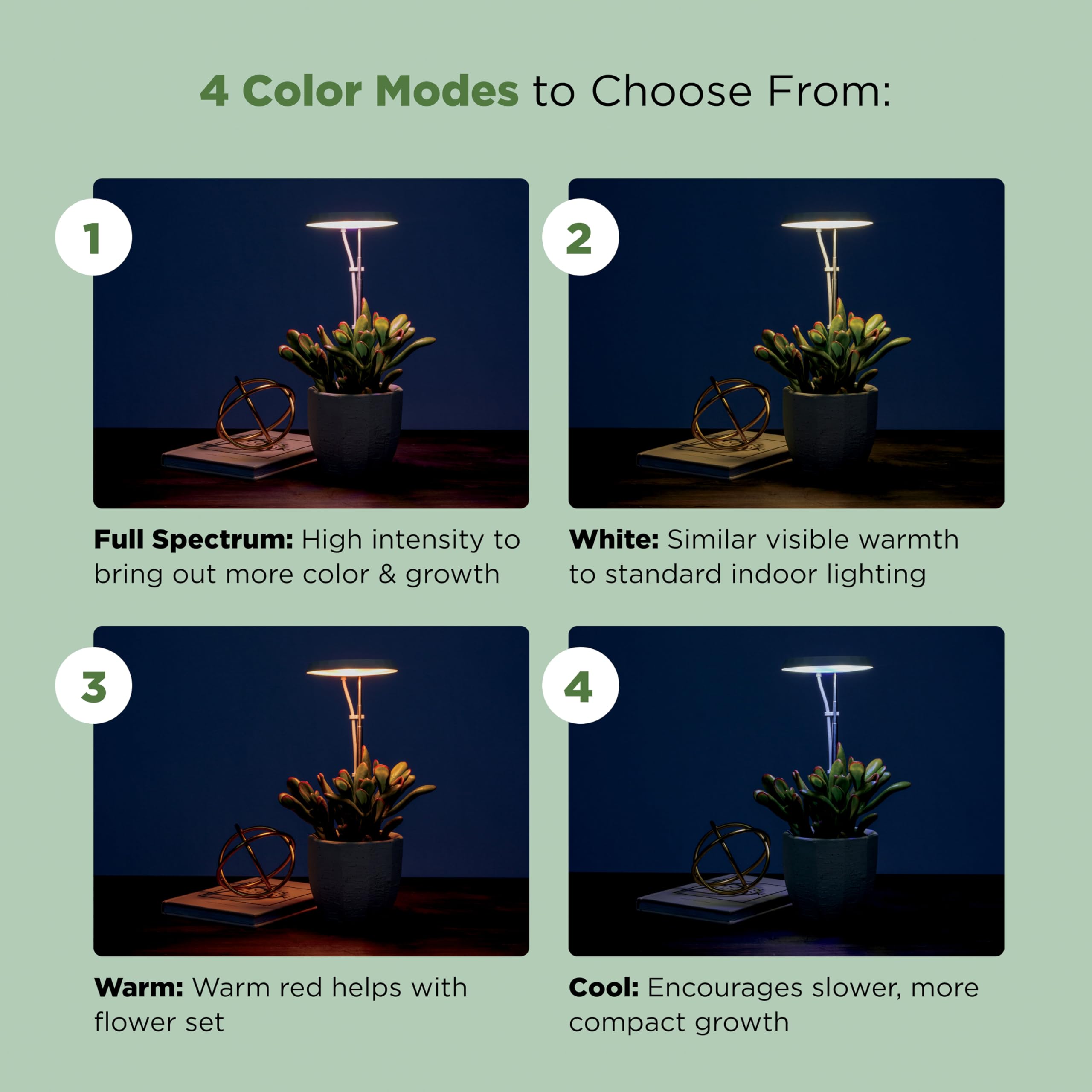 Stem Grow Light suitable for plants up to 10 inches tall.