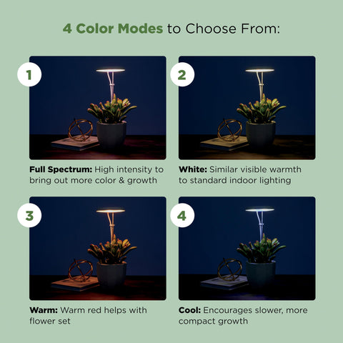 Stem Grow Light suitable for plants up to 10 inches tall.