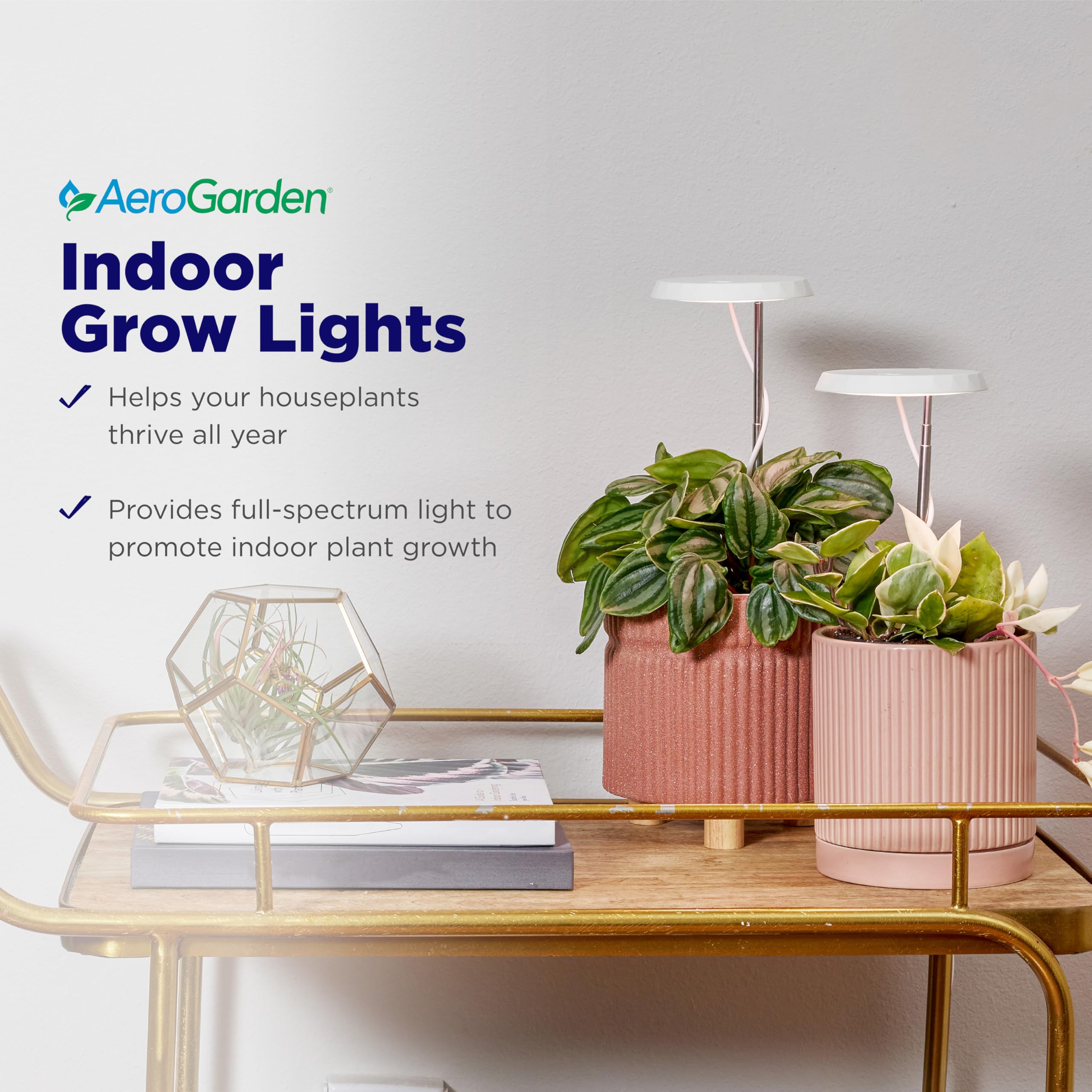 AeroGarden Stem Grow Light sunrise/sunset feature in action.