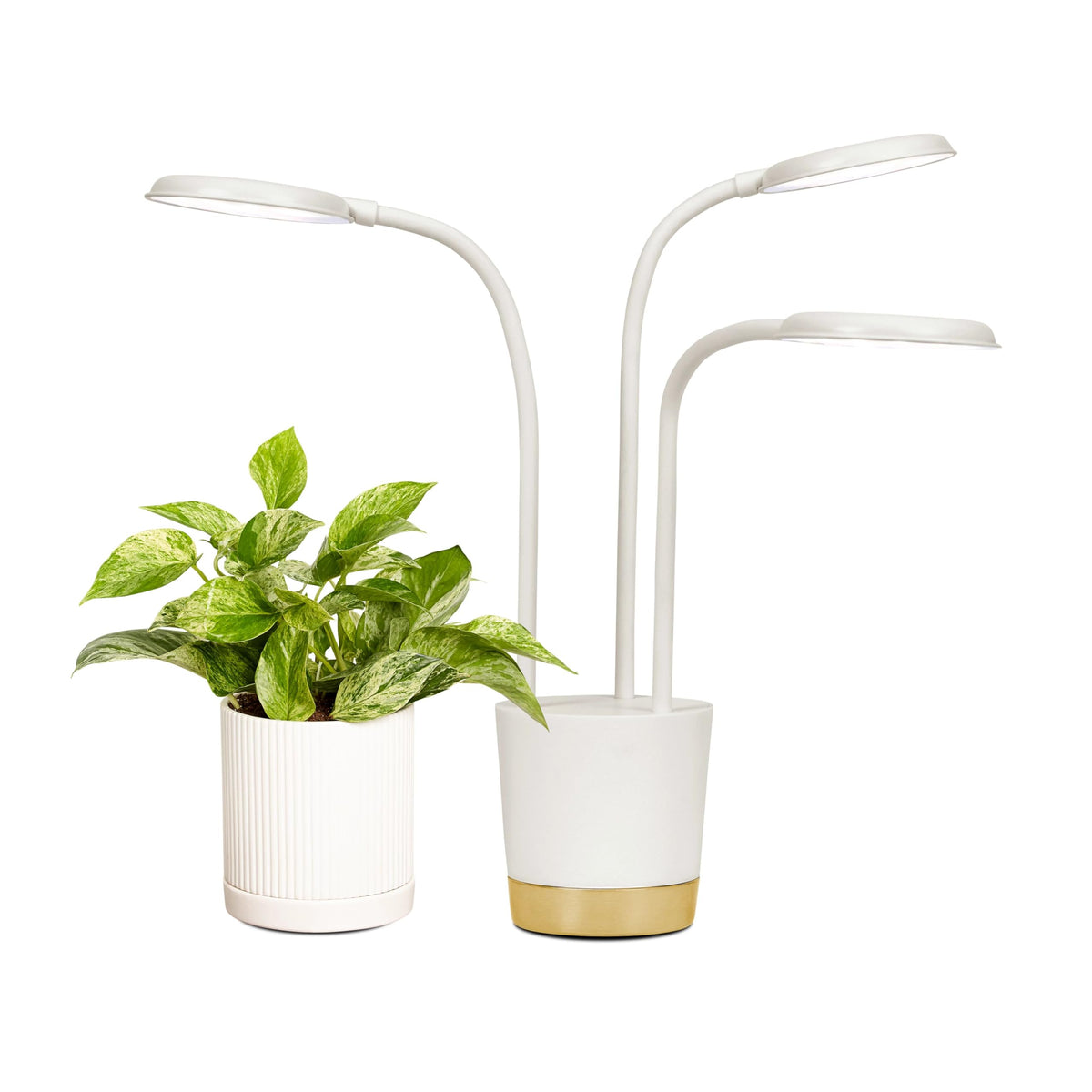 AeroGarden Trio Grow Light illuminates indoor plants with full-spectrum LEDs.