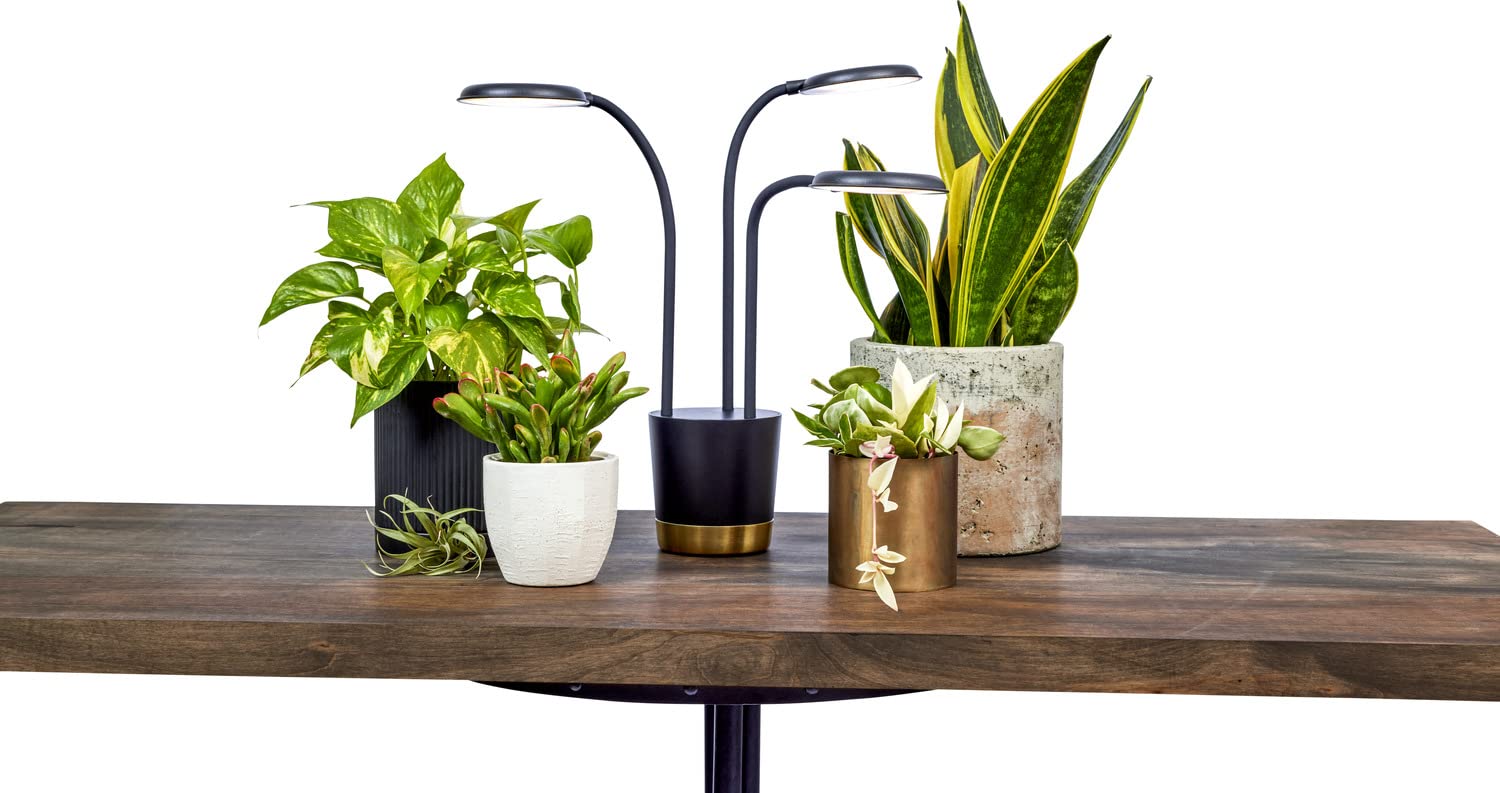 AeroGarden Trio Grow Light with three arms lighting multiple plants clearly