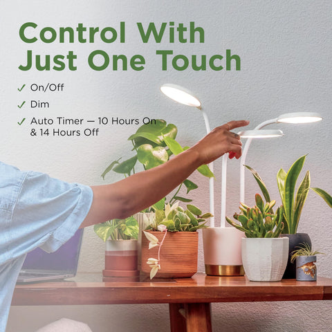 AeroGarden Trio offers sunrise and sunset light transitions.