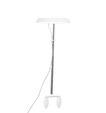 AeroGarden Trio's three-arm design lights multiple plants evenly.