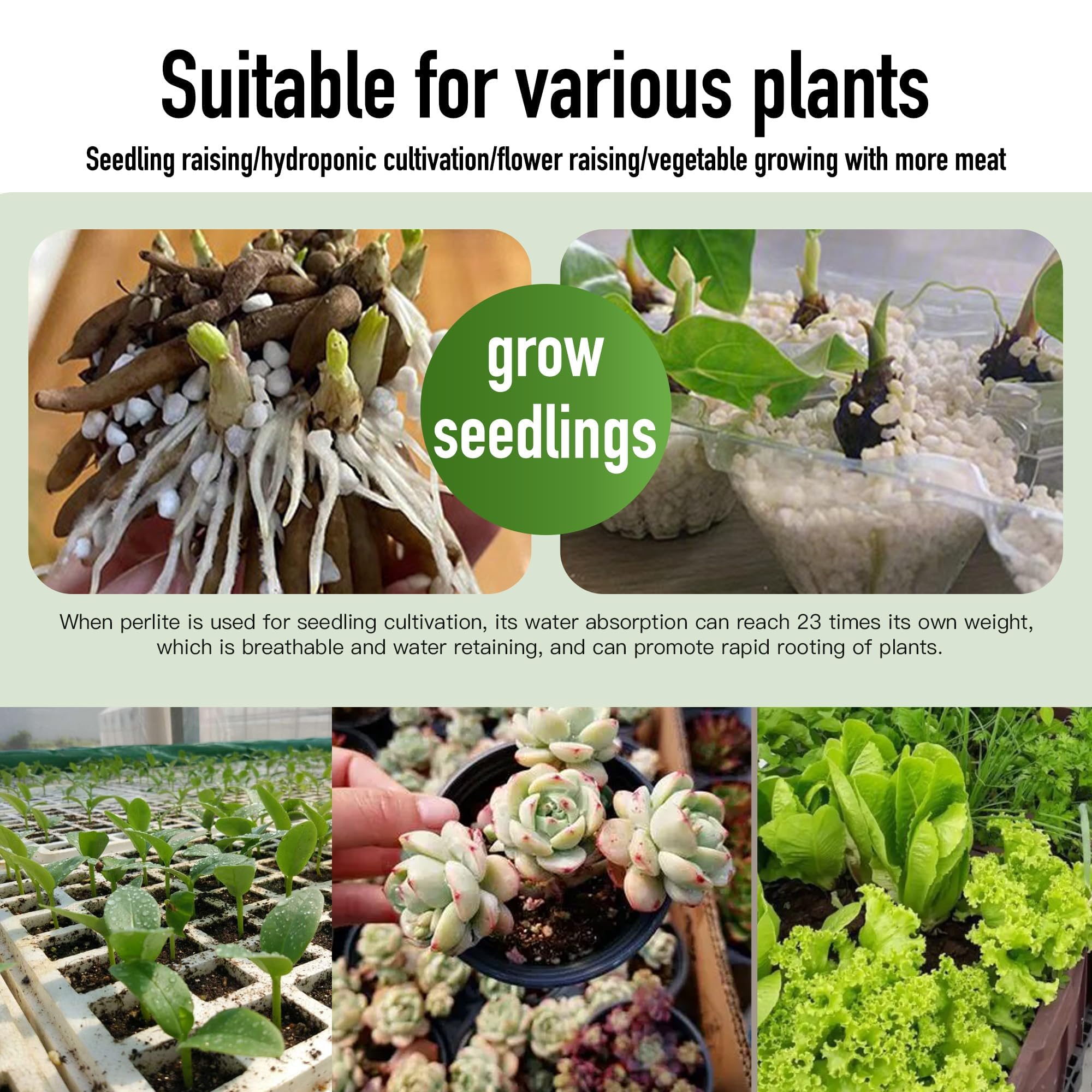 Afawall Gift perlite in potting mix, enhances drainage.