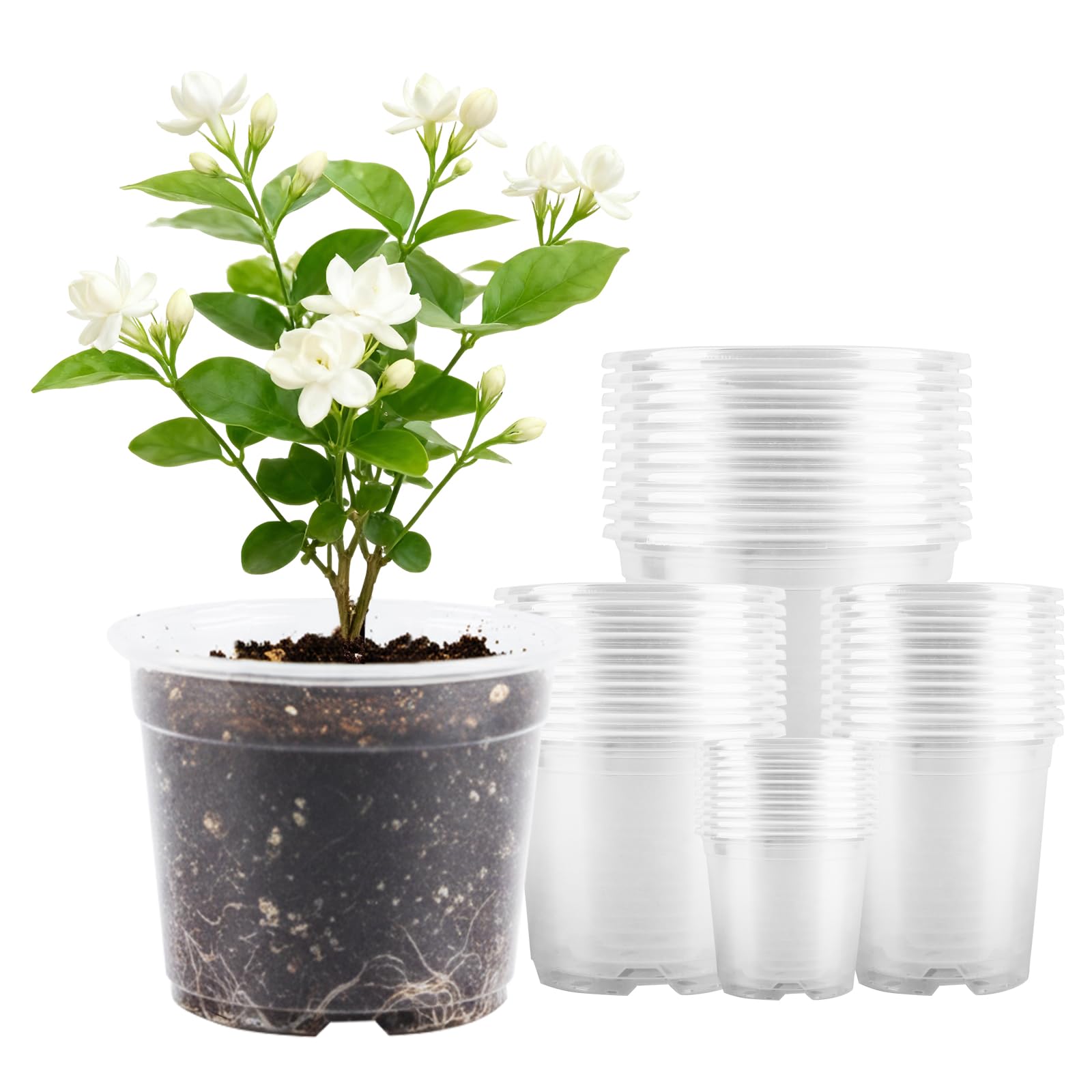 AFHGGZXZ seed starter pot 2.5-inch top view for easy seed germination