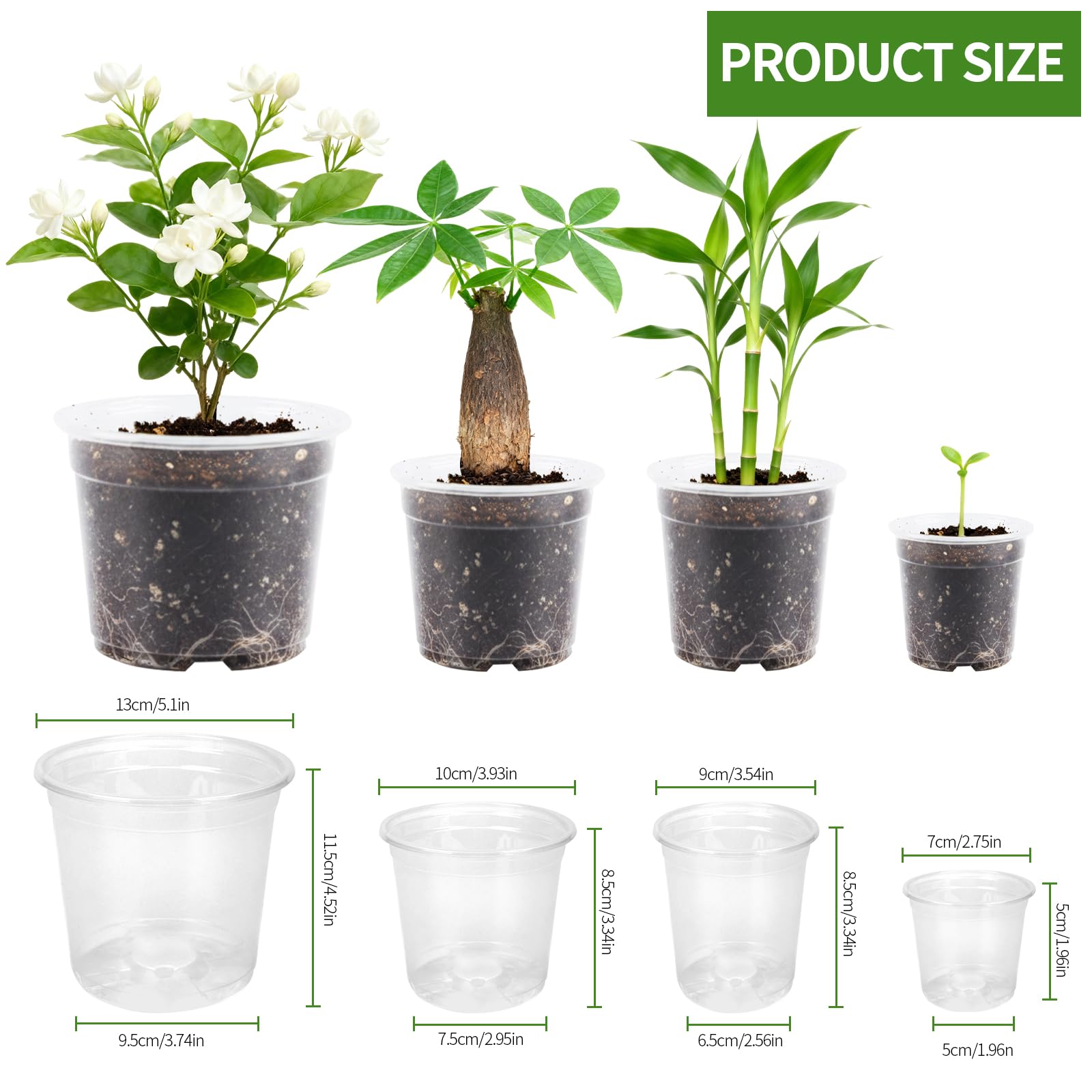 AFHGGZXZ seed starter pot 5-inch clear sides ideal for transplant readiness