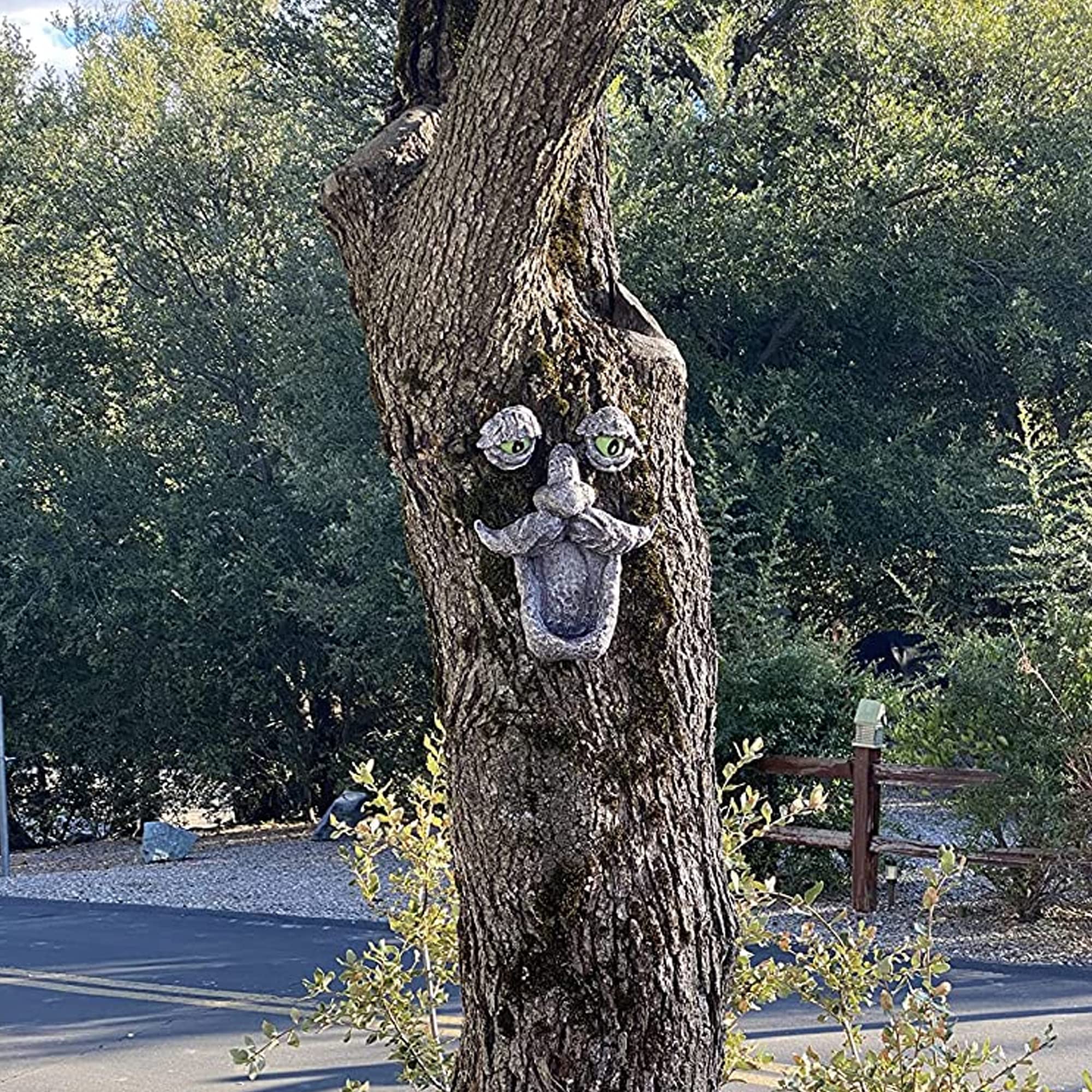 Aflowa Tree Faces gift idea for plant lovers and yard enthusiasts