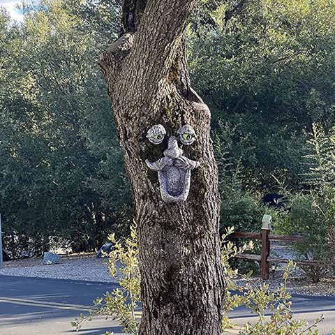 Aflowa Tree Faces gift idea for plant lovers and yard enthusiasts