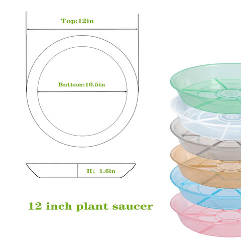 Afrine 2-pack 12-inch saucer side view highlights 1.6-inch depth for water containment.