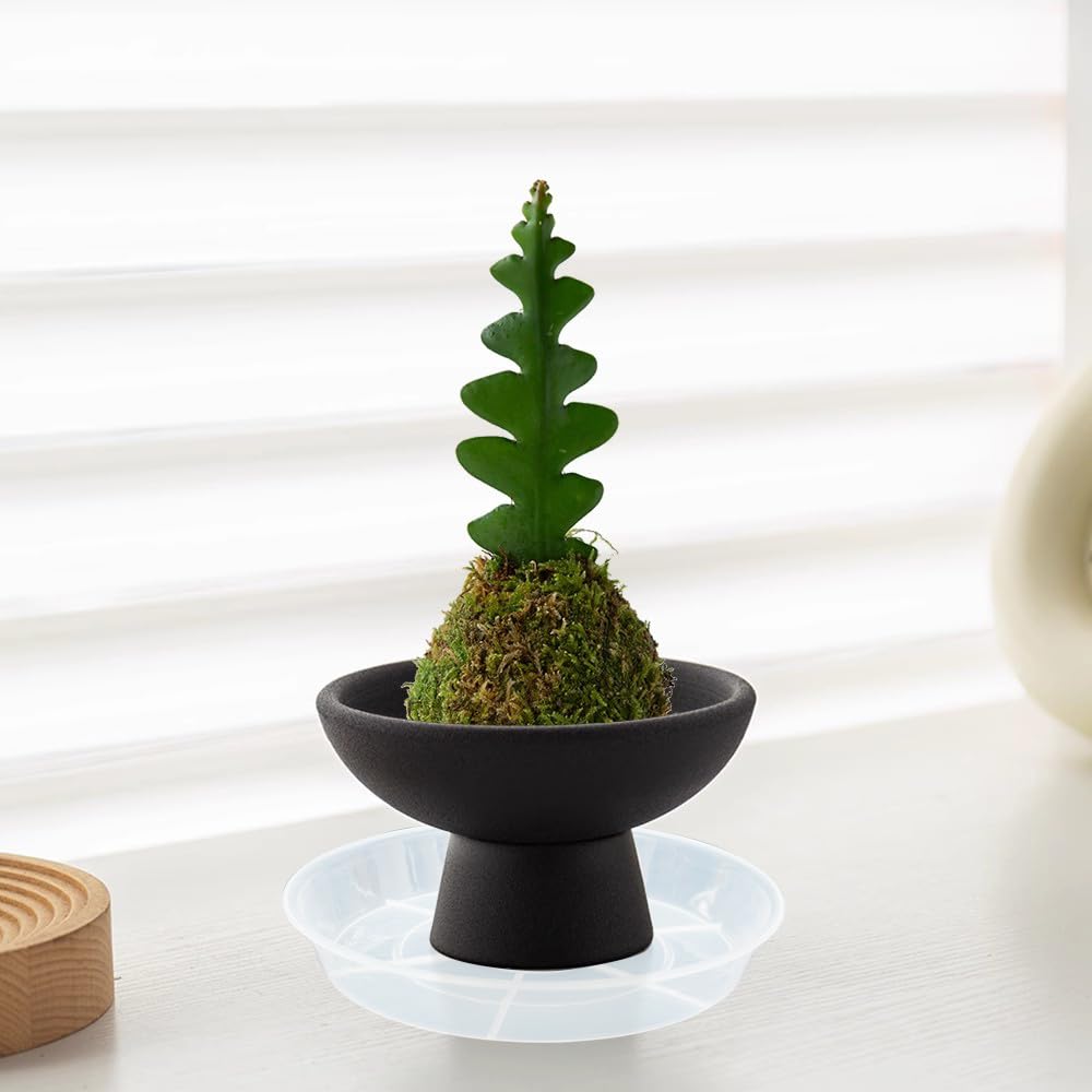 Afrine 2-pack plant saucers endure sun and cold for all-season use.