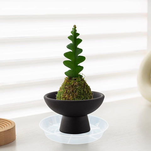 Afrine 2-pack plant saucers endure sun and cold for all-season use.