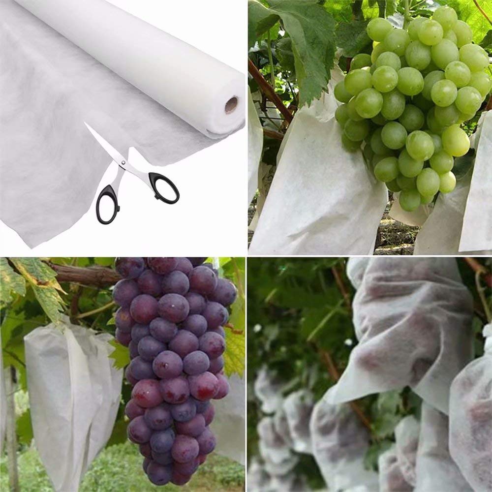 Agfabric frost protection cover shields fruit trees.