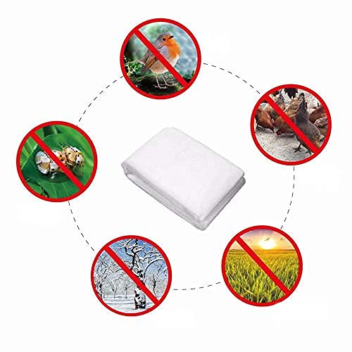 Agfabric lightweight plant cover that is gentle on growth