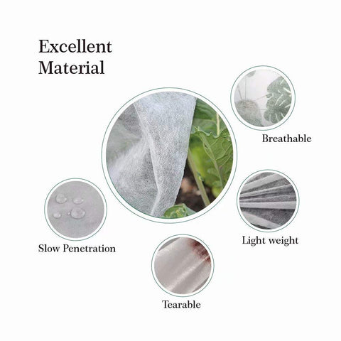 Agfabric row cover protects tomatoes from frost and hail.