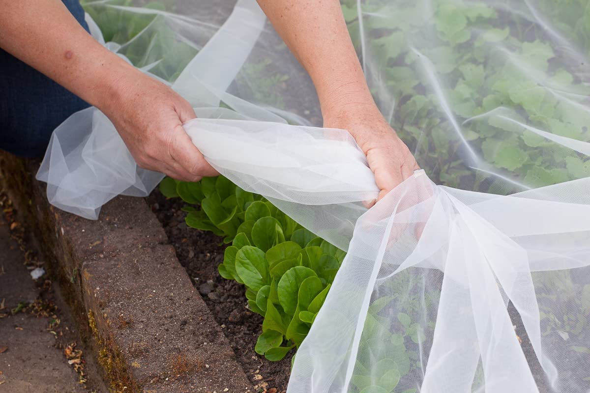 See-through Agfabric mesh allows water and sunlight to reach plants