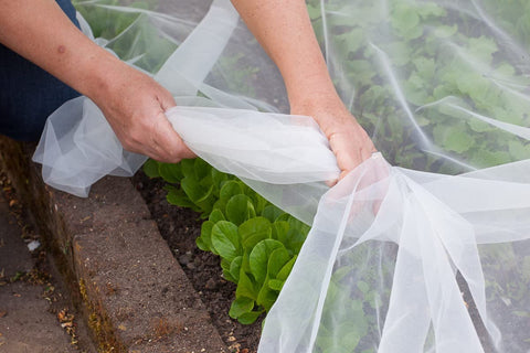 See-through Agfabric mesh allows water and sunlight to reach plants