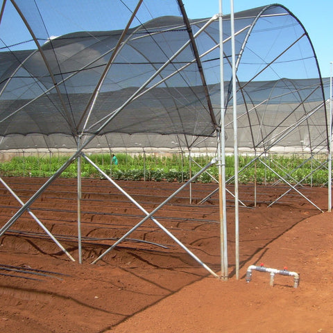 Agfabric shade cloth over a chicken coop for sunny day relief.
