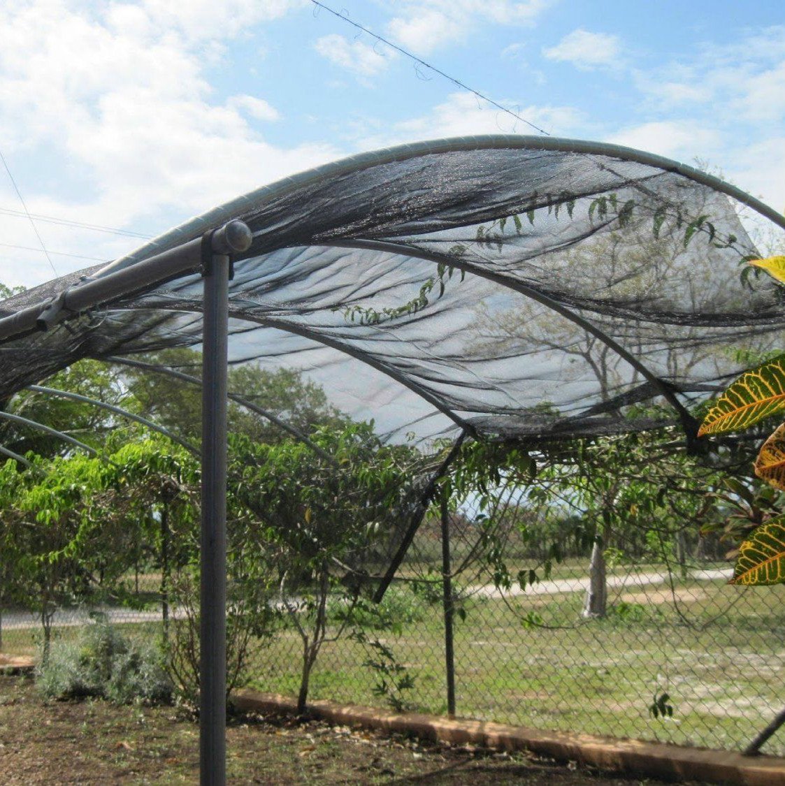 Agfabric shade cloth design allows water and air to pass through easily.