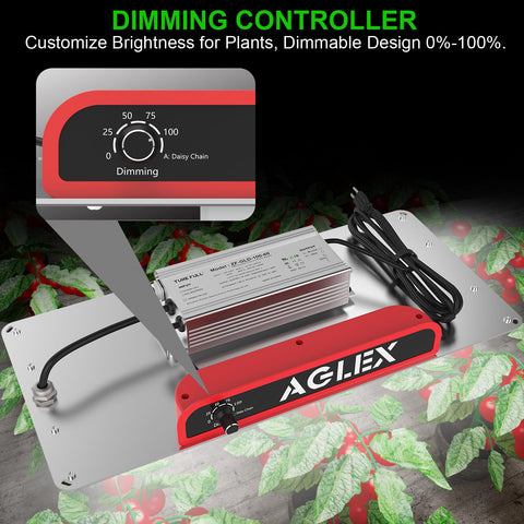 AGLEX K1000 silent operation without fans suits quiet environments.