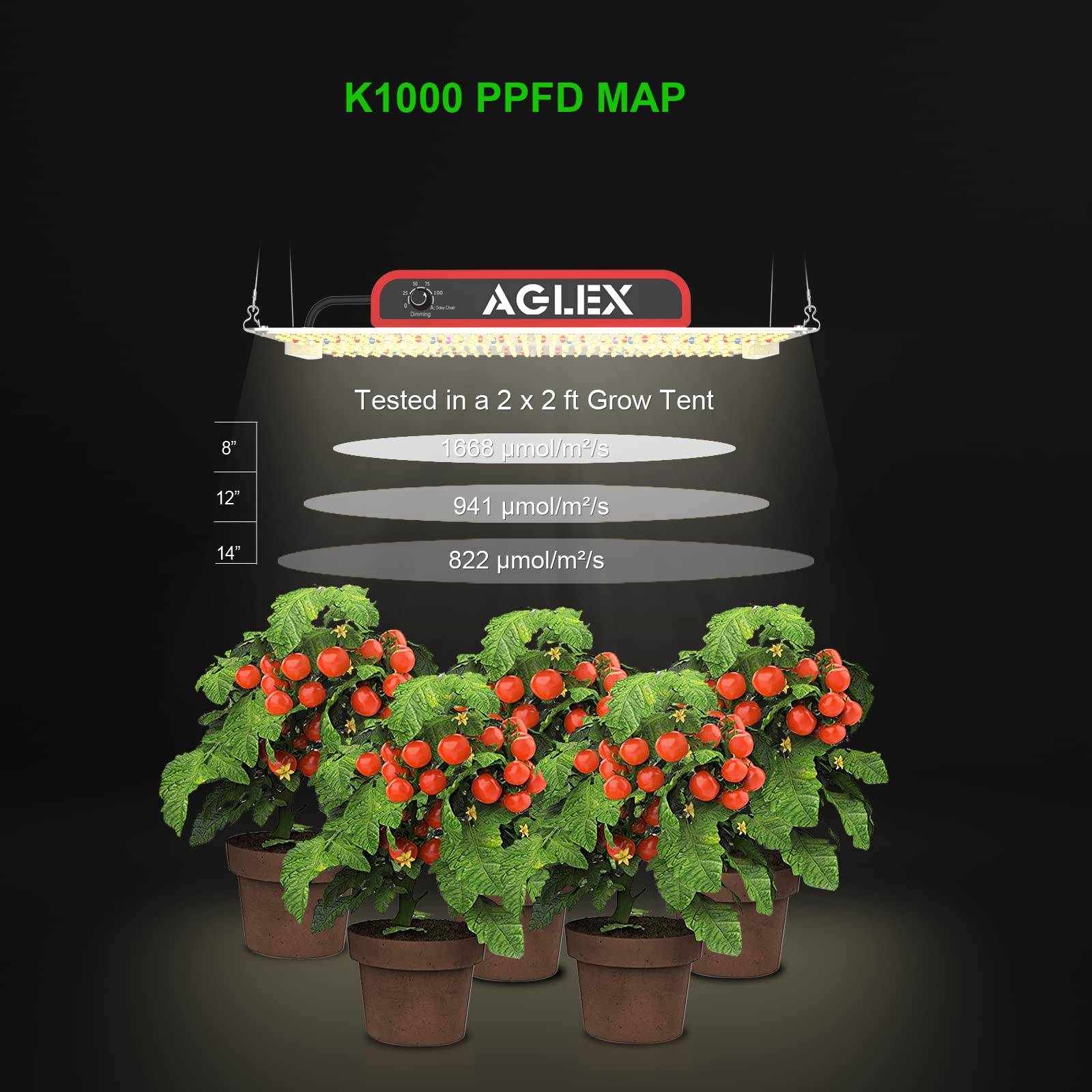AGLEX K1000 seeds-to-harvest suitability helps home growers.