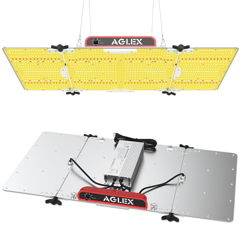 AGLEX K4000 daisy-chain setup enables scalable indoor growing.