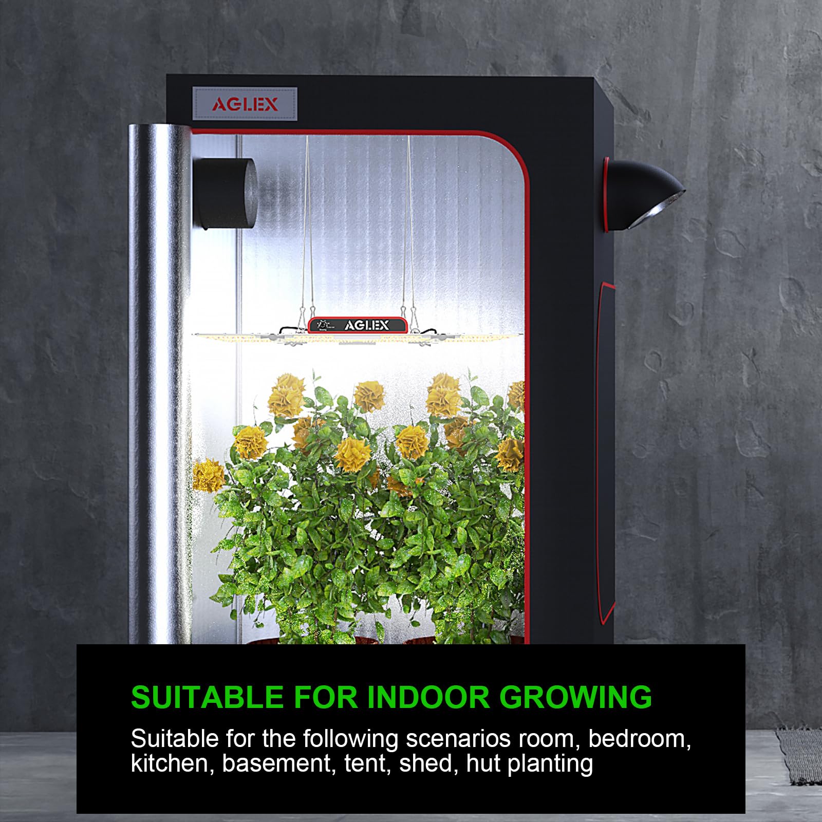 AGLEX K4000 grow tent 5x6 ft area coverage for even light distribution.