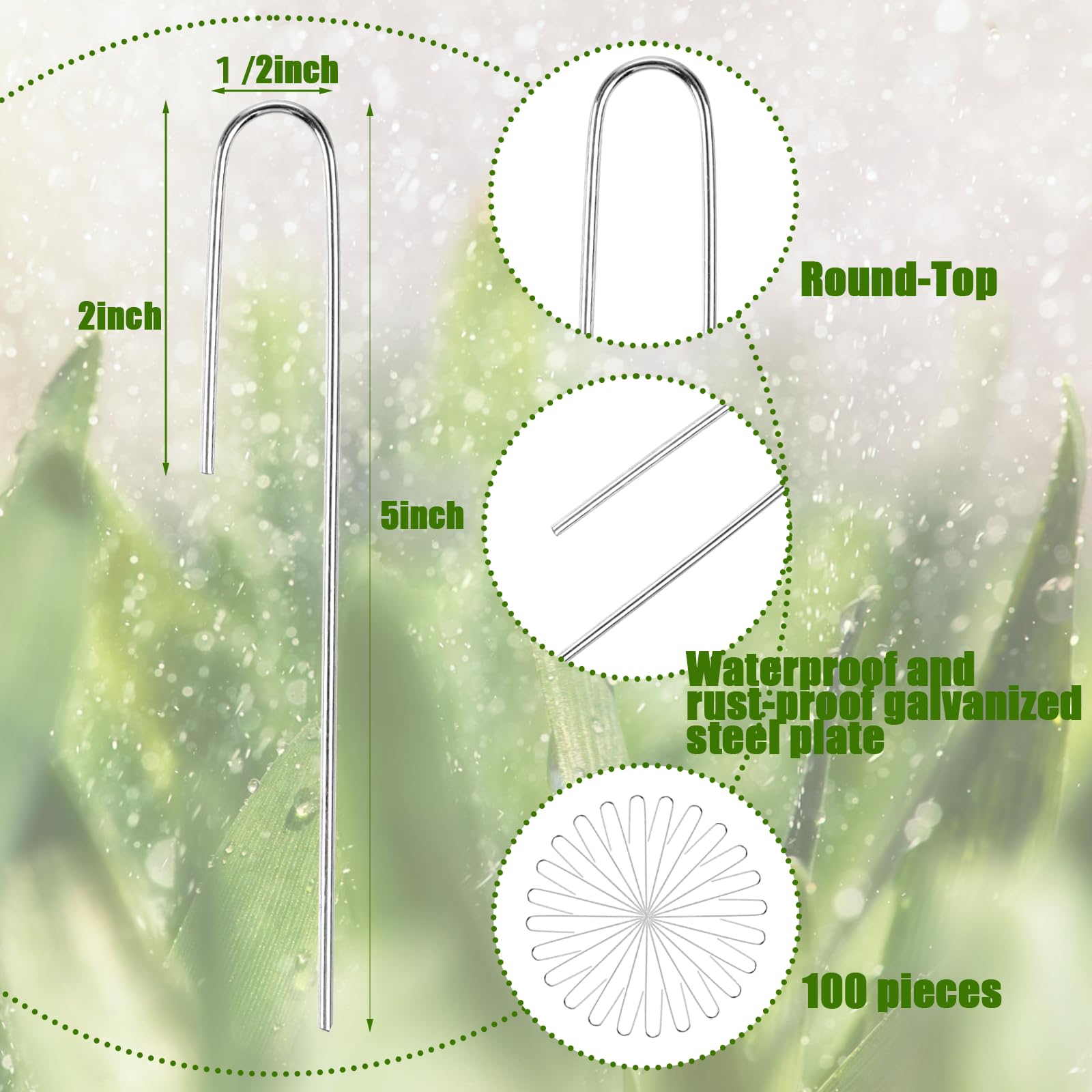 Agolctry half-inch tubing compatible stakes support outdoor watering setups.